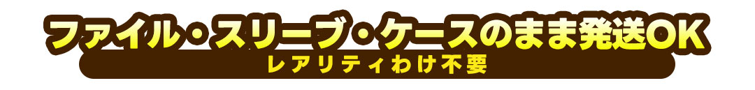 ファイル・スリーブのまま発送OK！レアリティわけ不要！