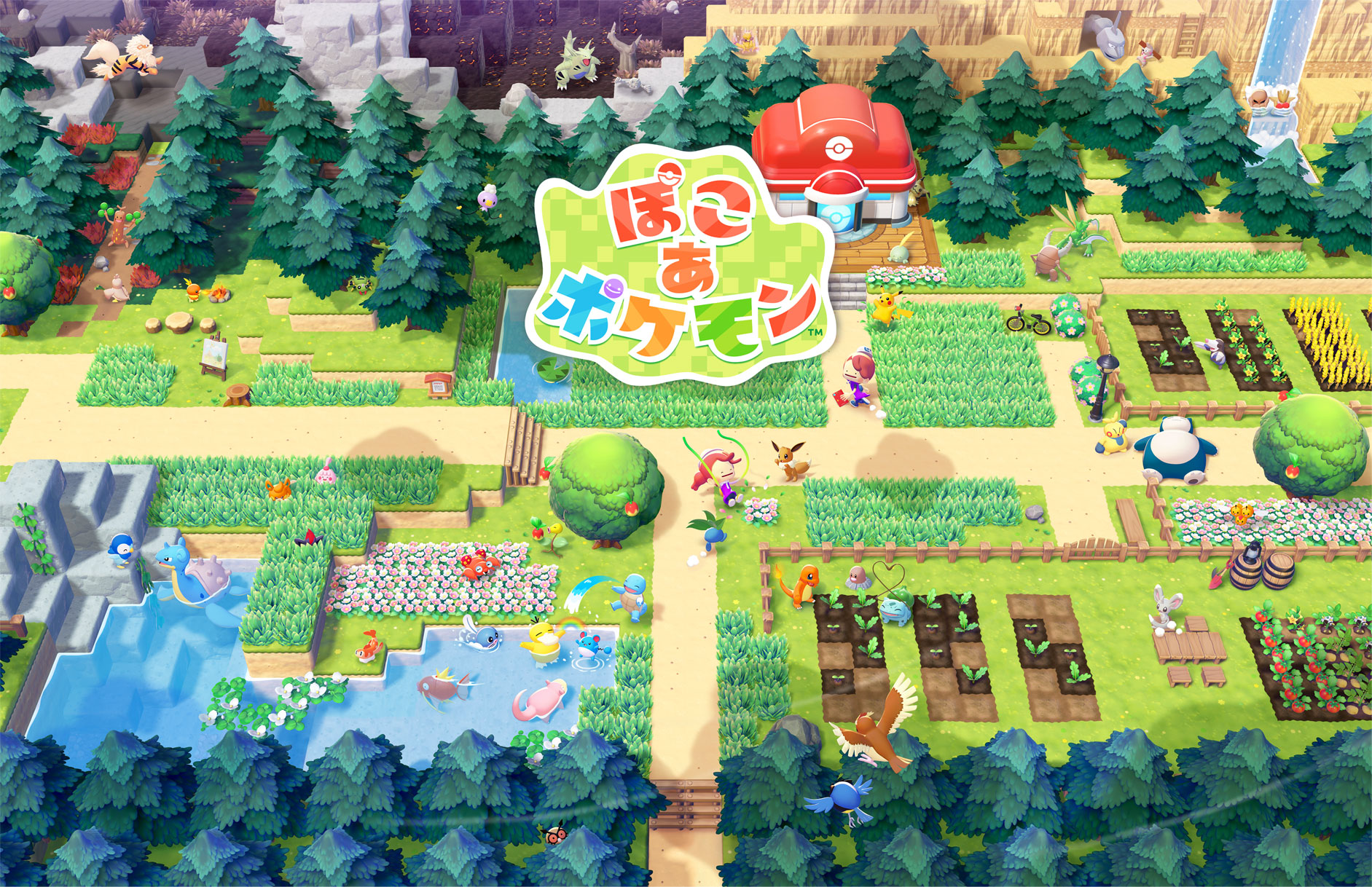 ぽこ あ ポケモン 予約受付中